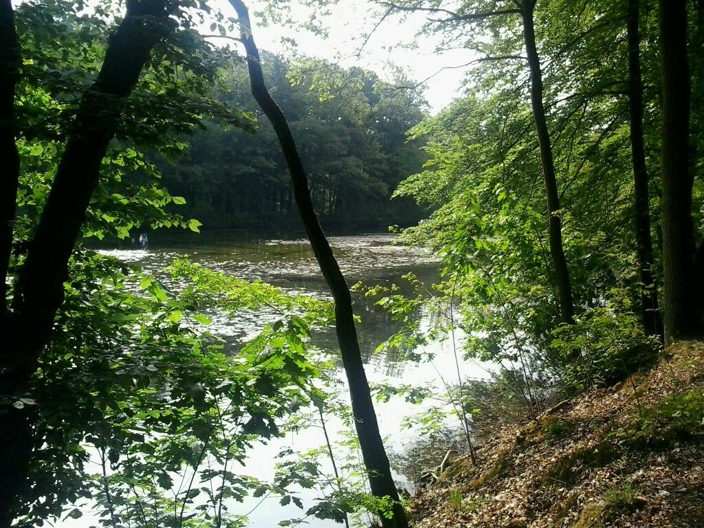 An der Ilmenau