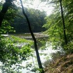 An der Ilmenau
