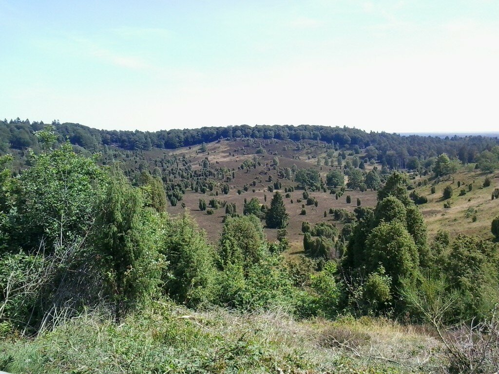 Am Toten Grund in der Heide