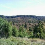 Am Toten Grund in der Heide